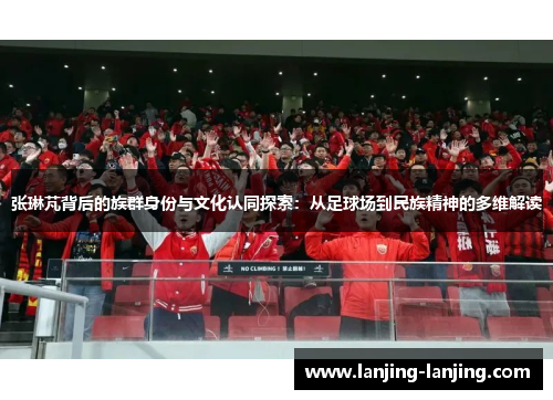 张琳芃背后的族群身份与文化认同探索：从足球场到民族精神的多维解读